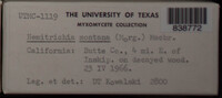Image Associated With the Occurence